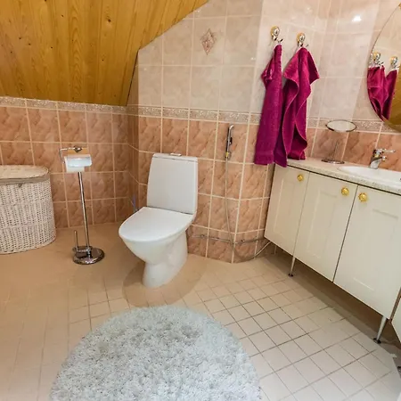 Prázdninový dům Jokiranta By Interhome Eurajoki